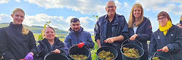 Ratskeller, Martinshof, Bürgermeister und Weinkönigin freuen sich über die erfolgreiche Senatswein-Lese im Bremer Weinberg an der Mosel.