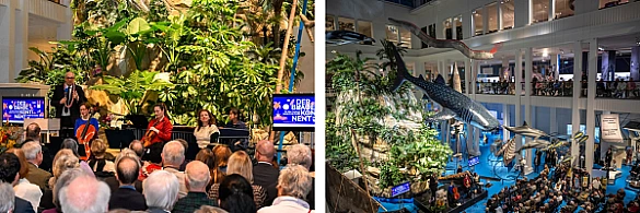 Linke Seite: Ein zentrales Highlight der Ausstellung ist eine knapp zehn Meter hohe Insel mit üppiger Bepflanzung und einem digitalen Wasserfall.  | Rechte Seite: Bürgermeister Andreas Bovenschulte begrüßte die rund 500 Gäste. Linke Seite: Ein zentrales Highlight der Ausstellung ist eine knapp zehn Meter hohe Insel mit üppiger Bepflanzung und einem digitalen Wasserfall.  | Rechte Seite: Bürgermeister Andreas Bovenschulte begrüßte die rund 500 Gäste.