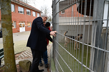 Rundgang durch den Bremer Tierschutzverein und Tierheim mit Bürgermeister Bovenschulte. 